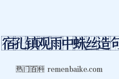 宿孔镇观雨中蛛丝造句是什么意思的图片